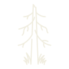 land-management