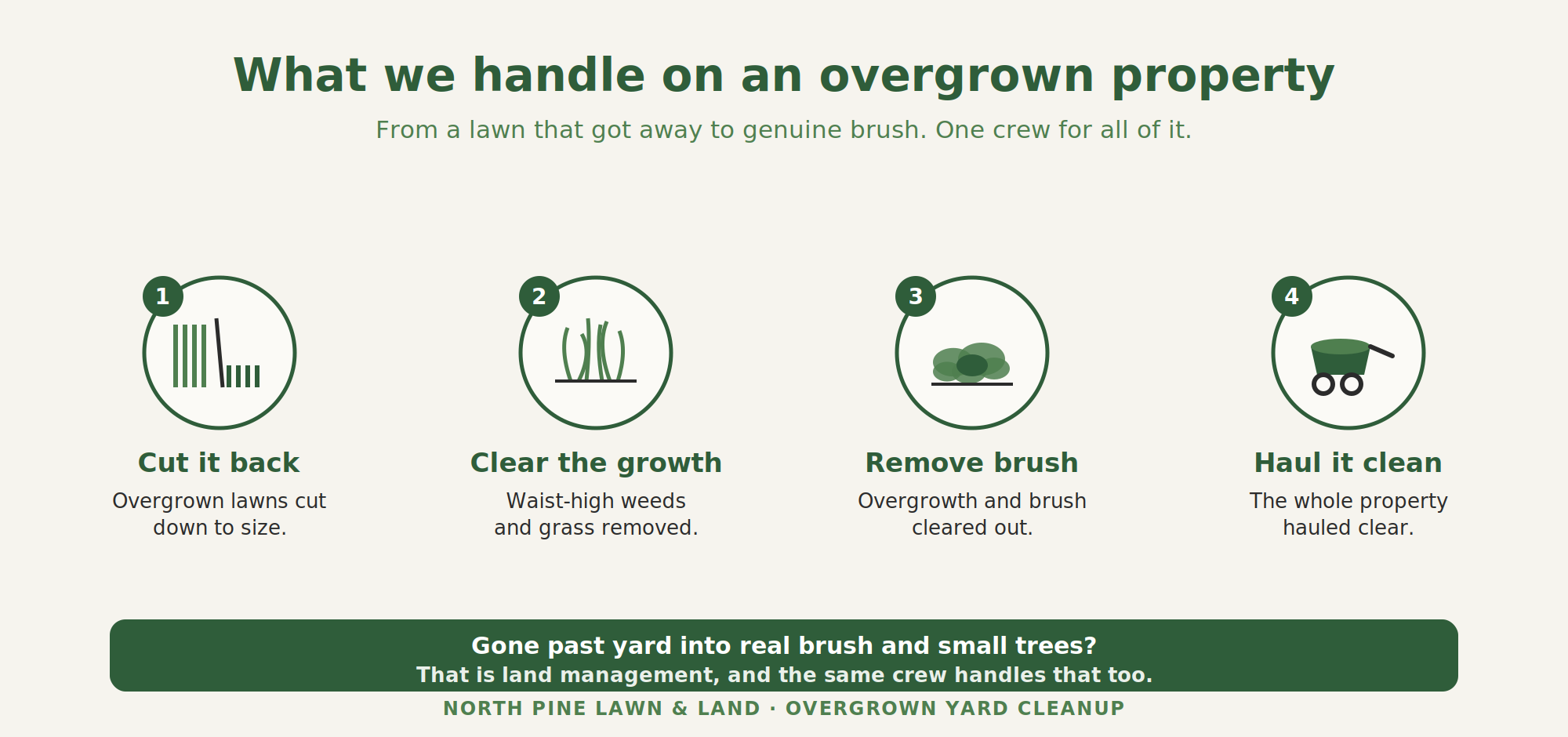 What we handle on an overgrown property — cutting the lawn back, clearing waist-high growth, removing brush, and hauling it clean, plus land management when it has gone past yard into brush.