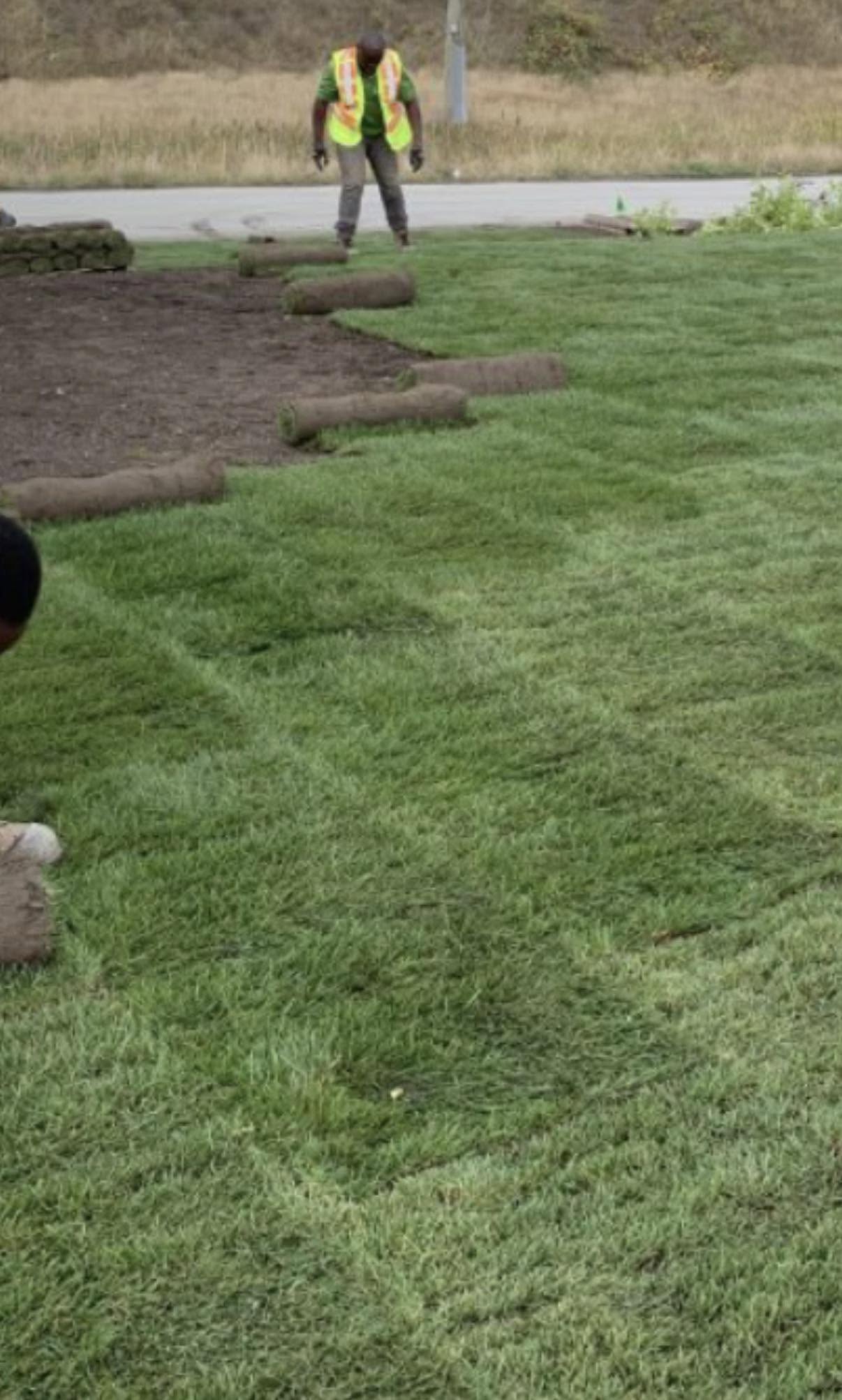 laying out sod on a new spokane lawn